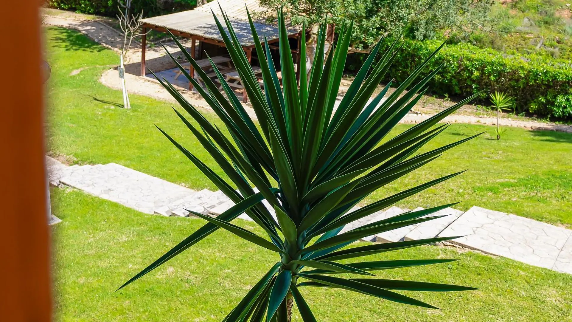 Casa Rapp Apartman Alvor